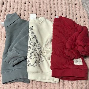 Baby Zara crewnecks